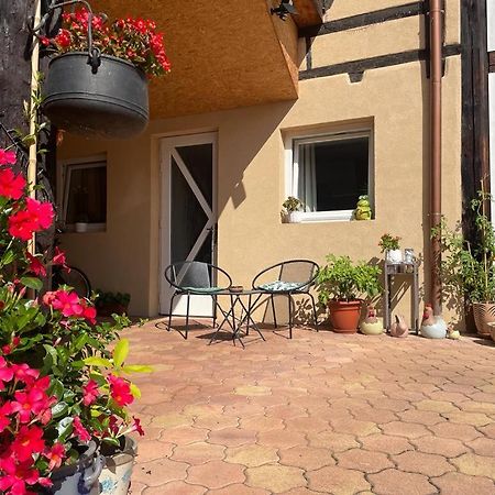 Zewwelatreppler - La Grange Aux Petits Oignons - Chambre Rainette Селеста Экстерьер фото